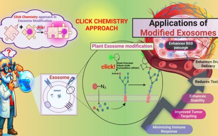 An Innovative Approach to Cancer Treatment: Click-Modified Exosomes Pave the Way for Targeted, Personalized Therapy