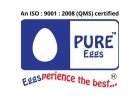PURE Eggs: Leading the Way in Gujarat’s Eggs Industry